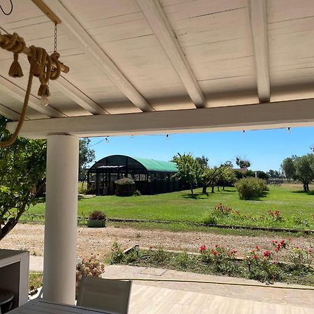 Villa Olga Tarquinia Ngoại thất bức ảnh