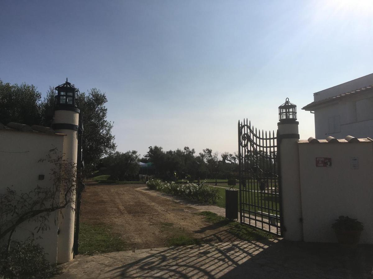 Villa Olga Tarquinia Ngoại thất bức ảnh