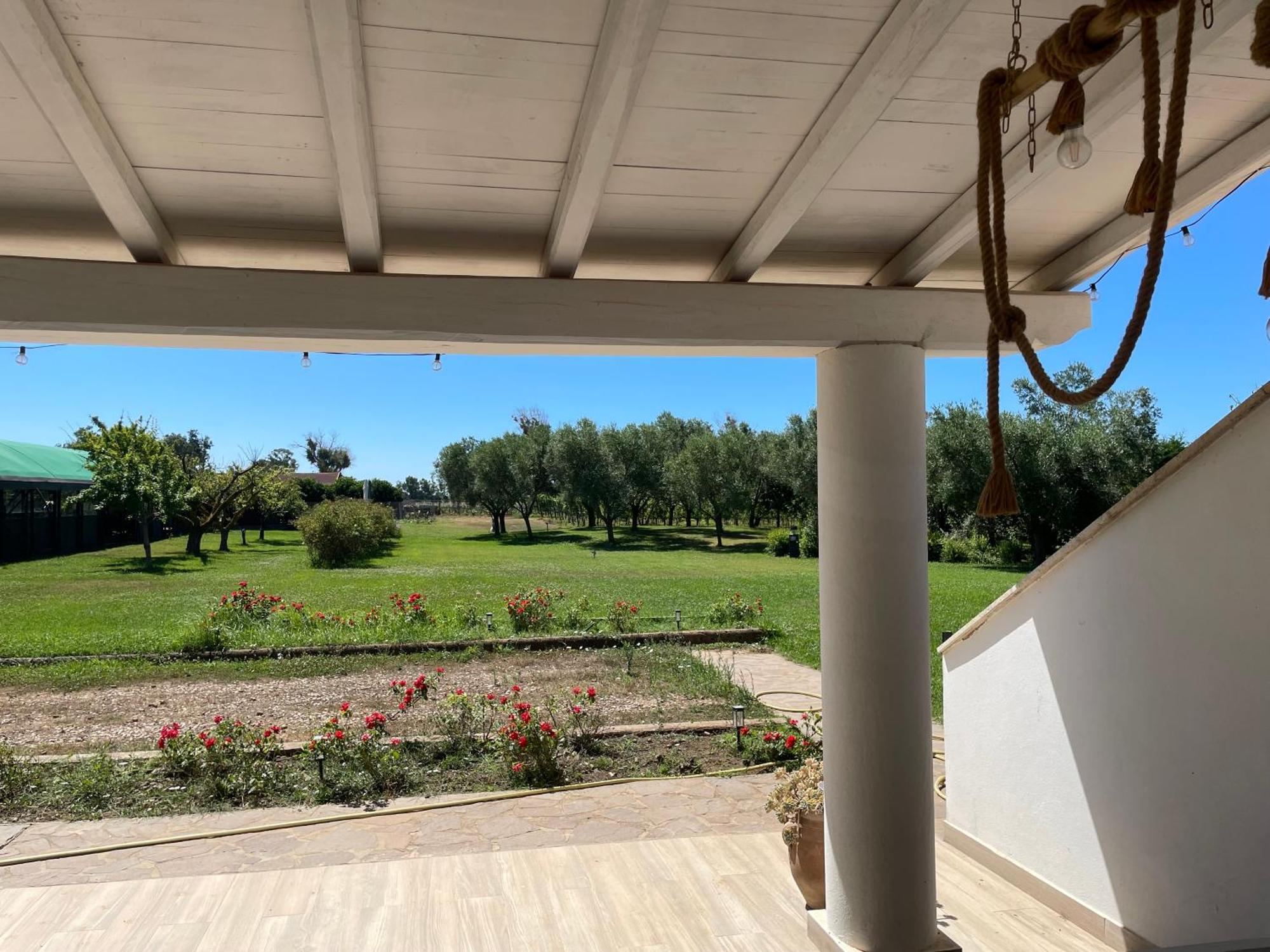 Villa Olga Tarquinia Ngoại thất bức ảnh